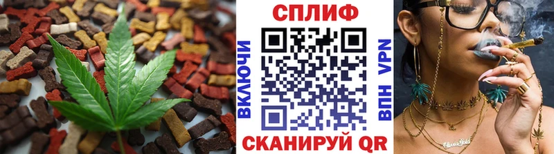 Cannafood конопля  Гай 
