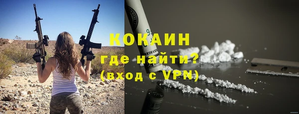 стаф Вяземский