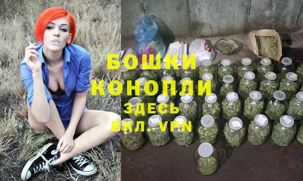 стаф Вяземский