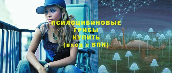 стаф Вяземский