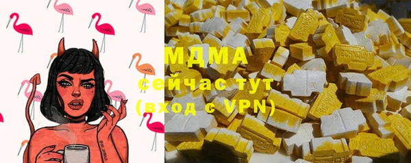 стаф Вяземский