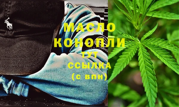 стаф Вяземский