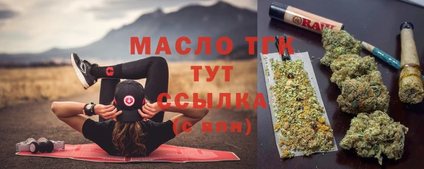 стаф Вяземский
