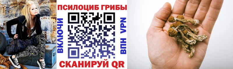 Галлюциногенные грибы мицелий  где можно купить   Гай 